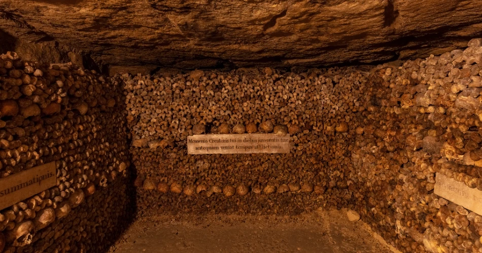 10 Best Things to Do in Malakoff, France